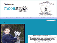Tablet Screenshot of moonstruckstaffords.com